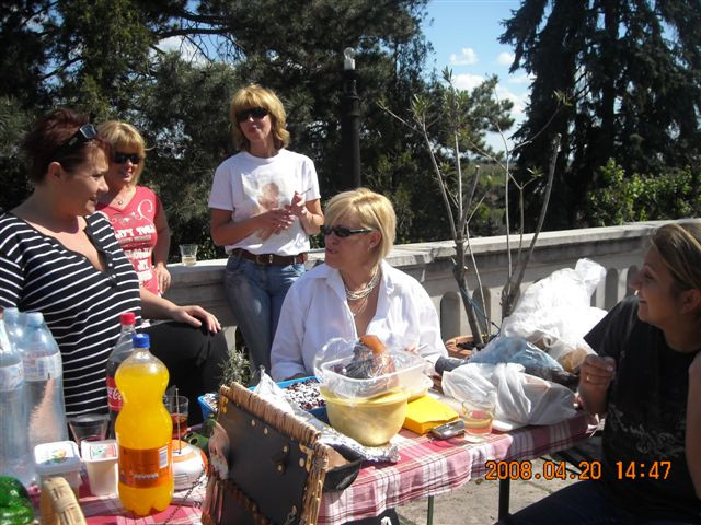 picnic 046