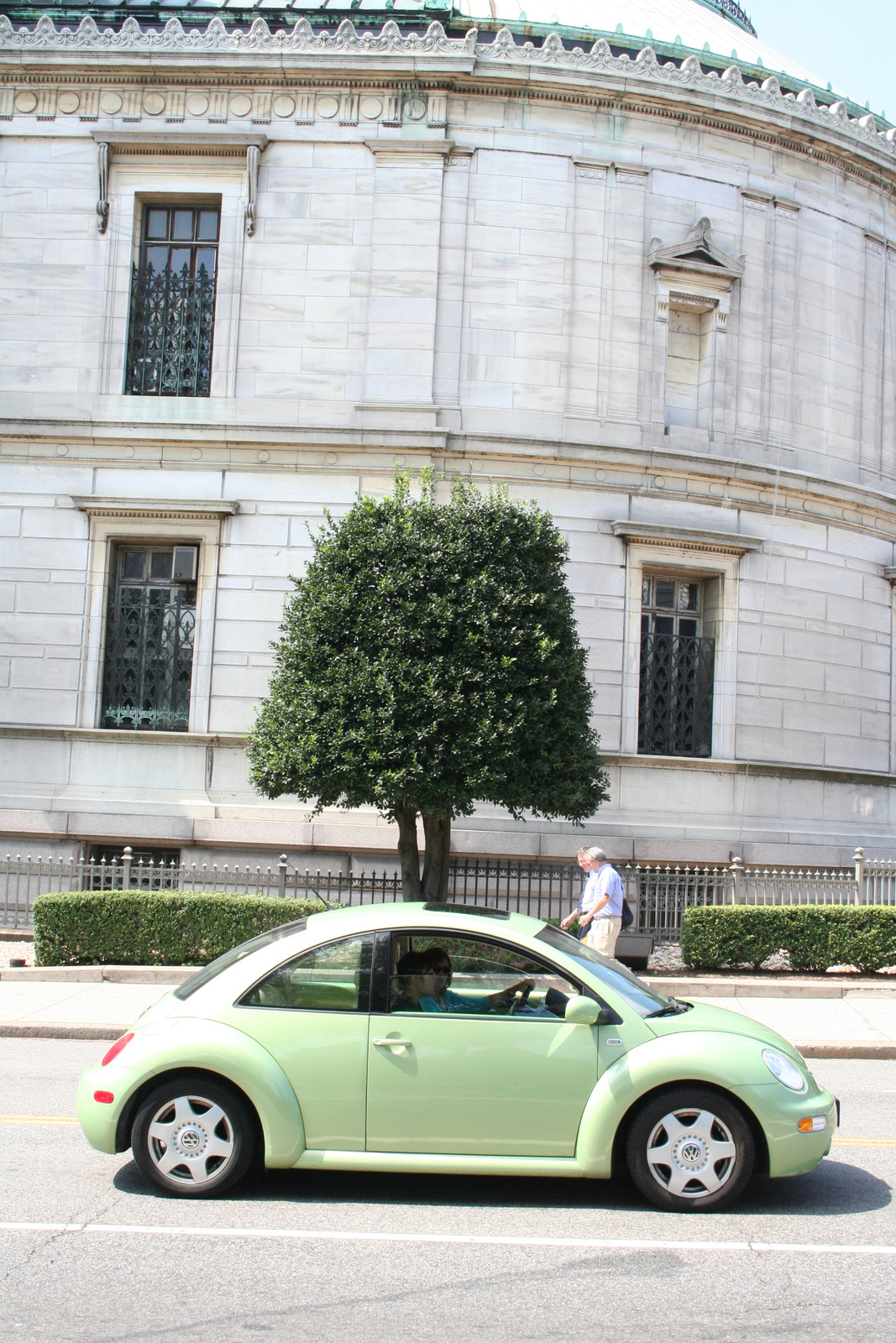 Green Beetle