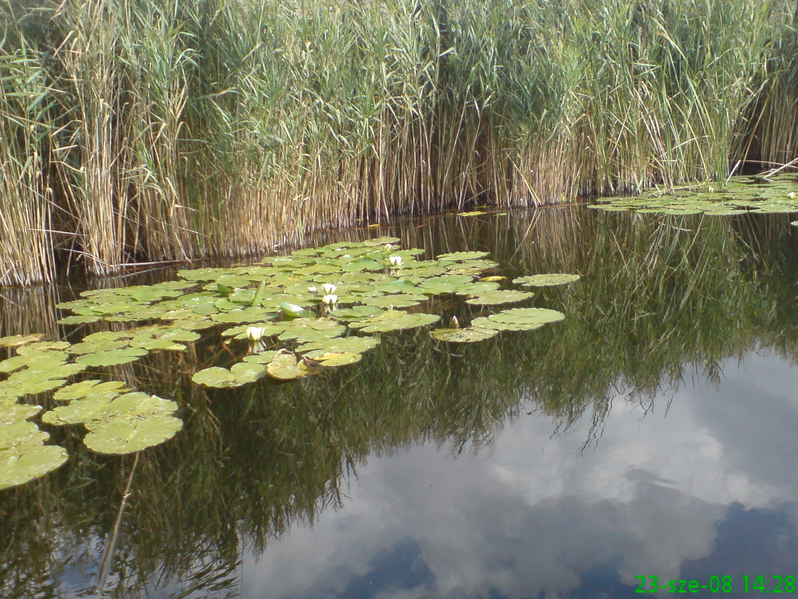 Male Neretva 18