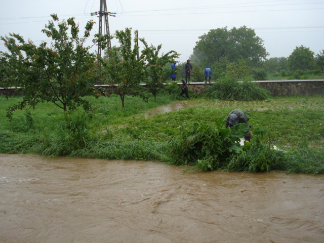árvíz 2010.06.01. 007