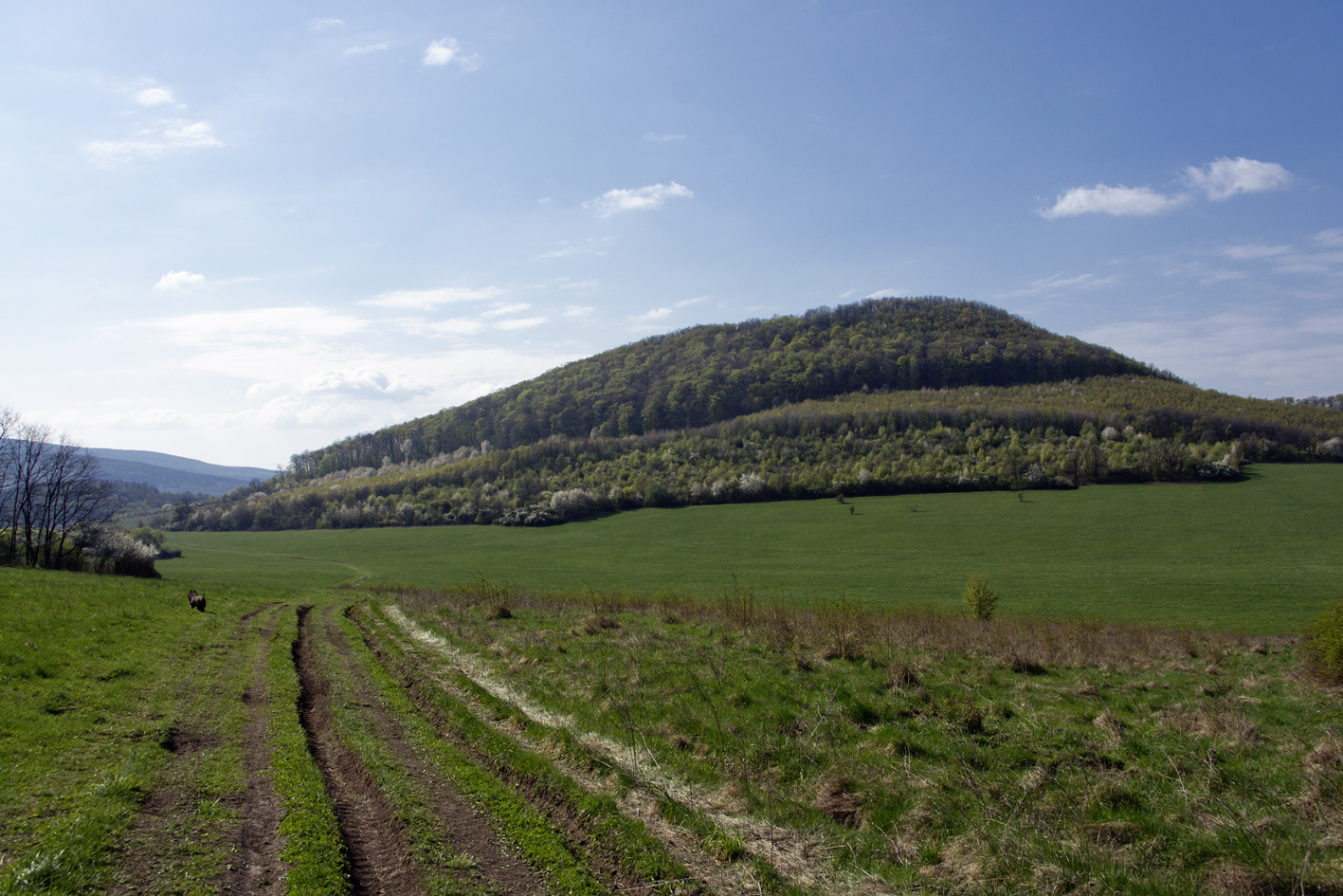 110416 NEX5 Hollókő-Nagybárkány 2382