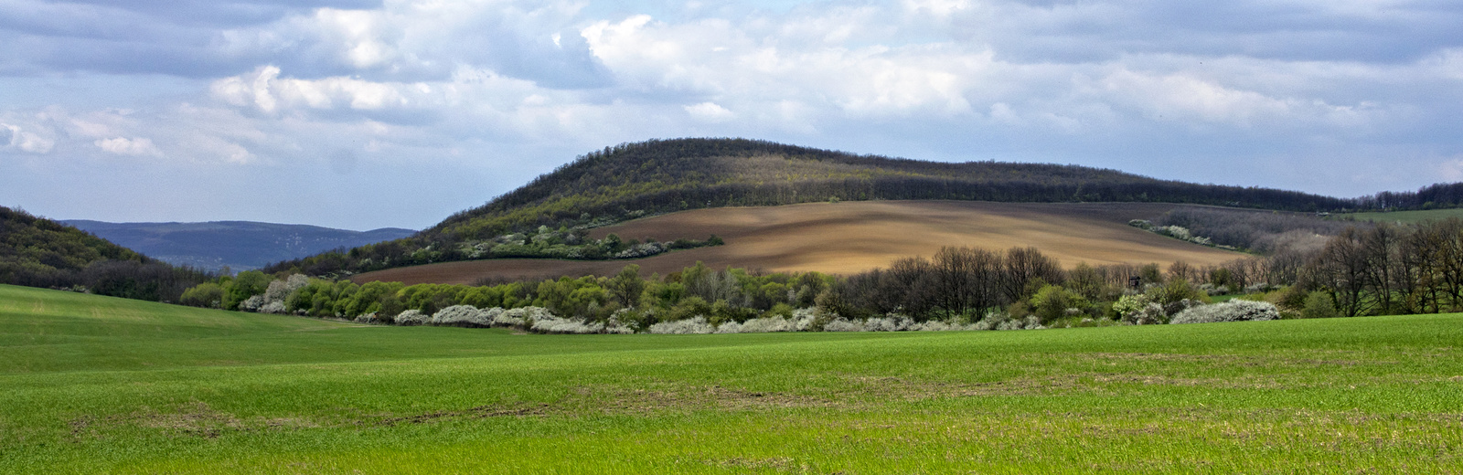 110416 NEX5 Hollókő-Nagybárkány 2432