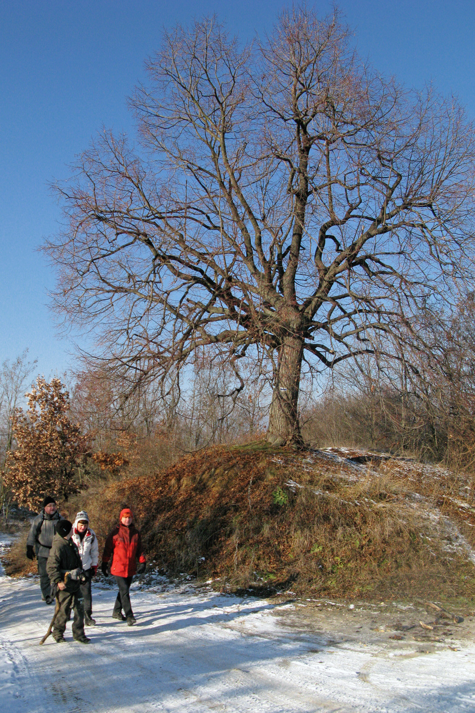 081229 G9 OKT Psztkereszt Rozália téglagyár 6588