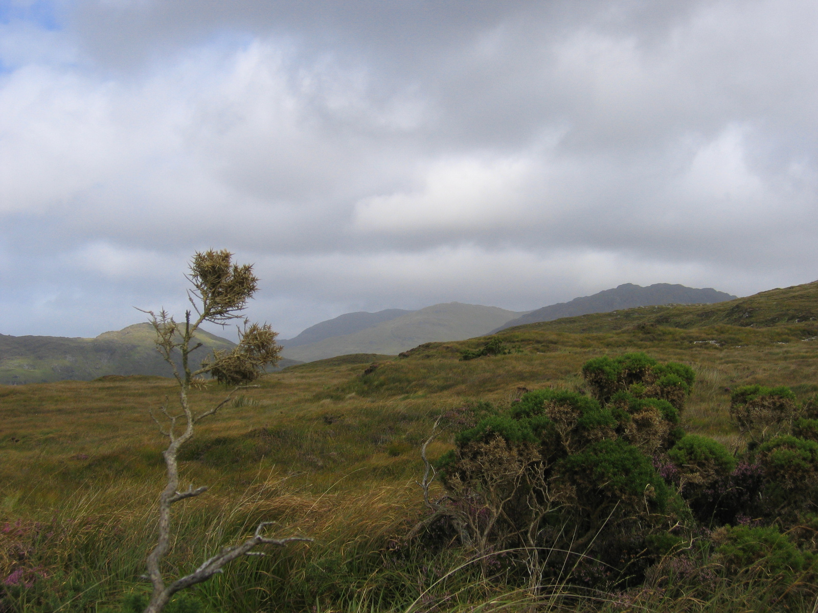 308-Connemara