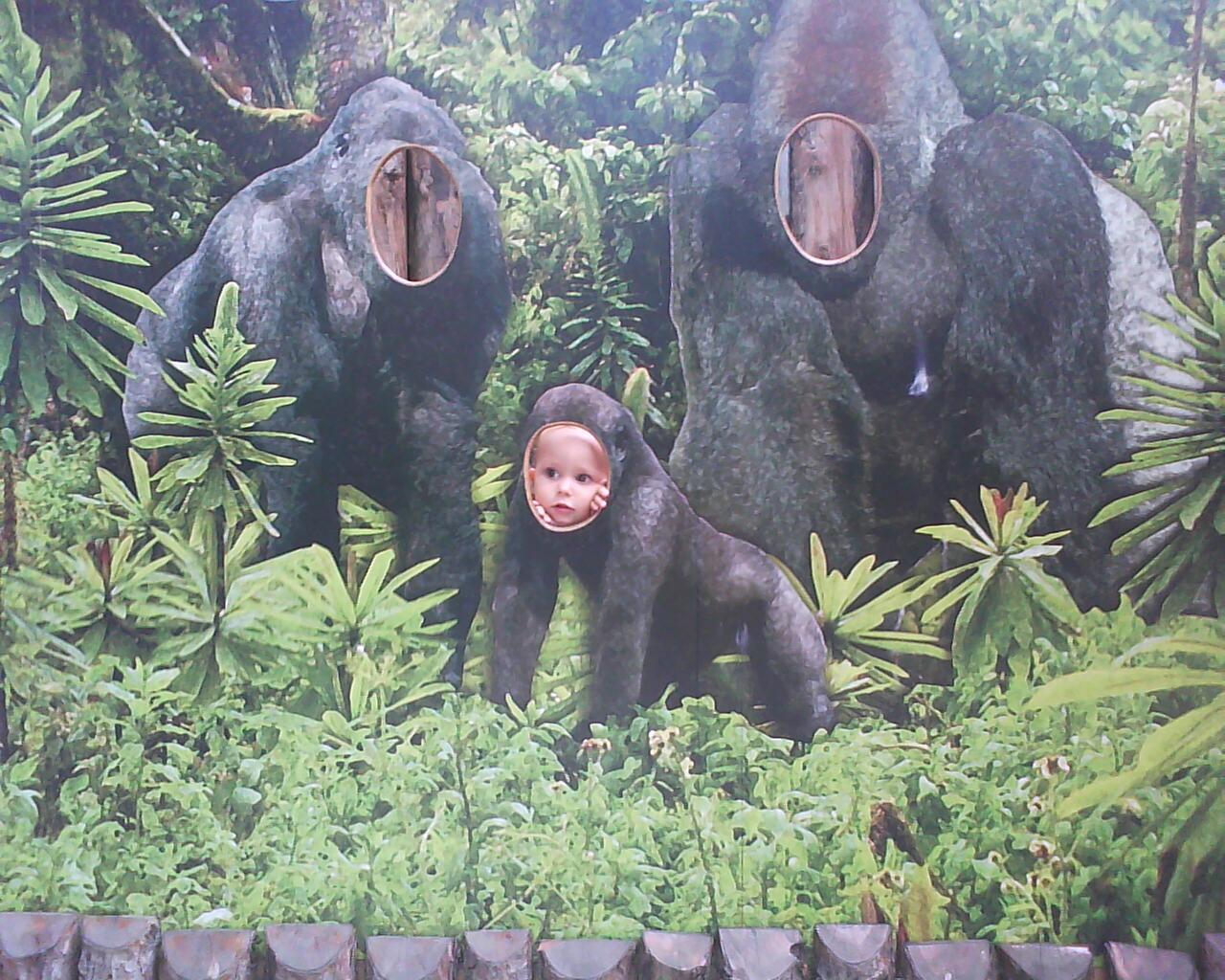 gorillagyerek