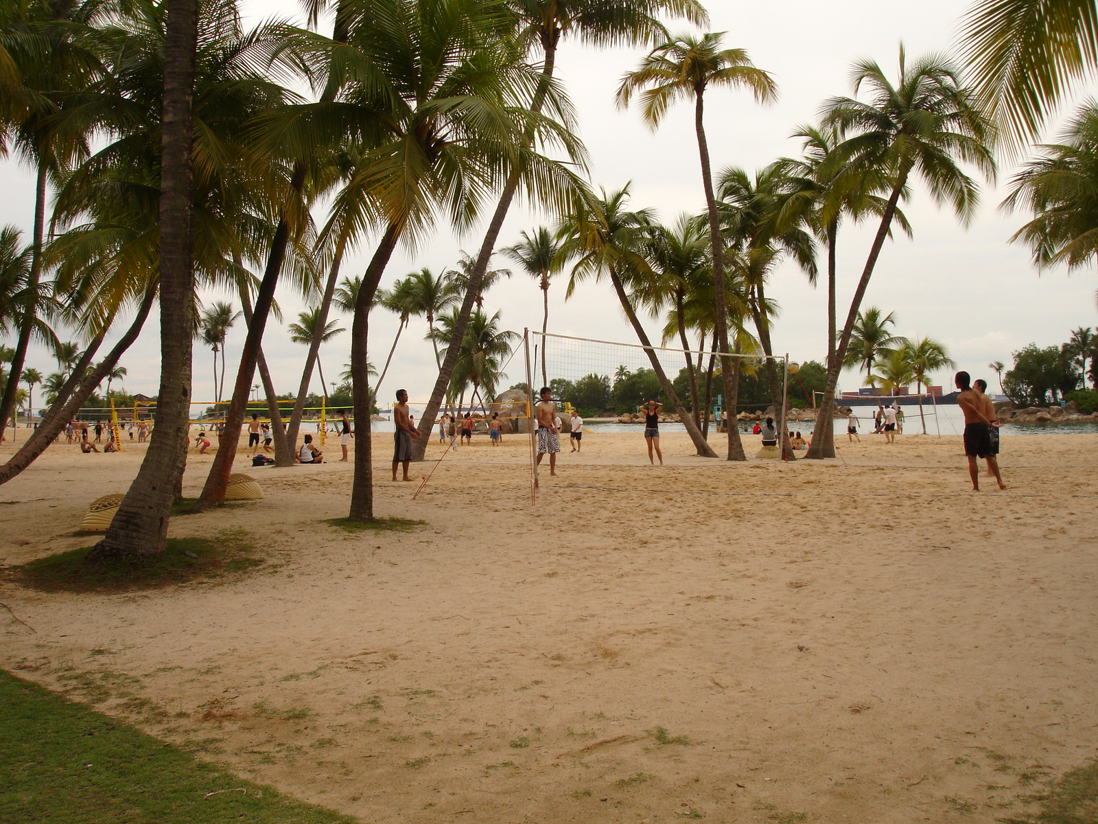 beach volleyball