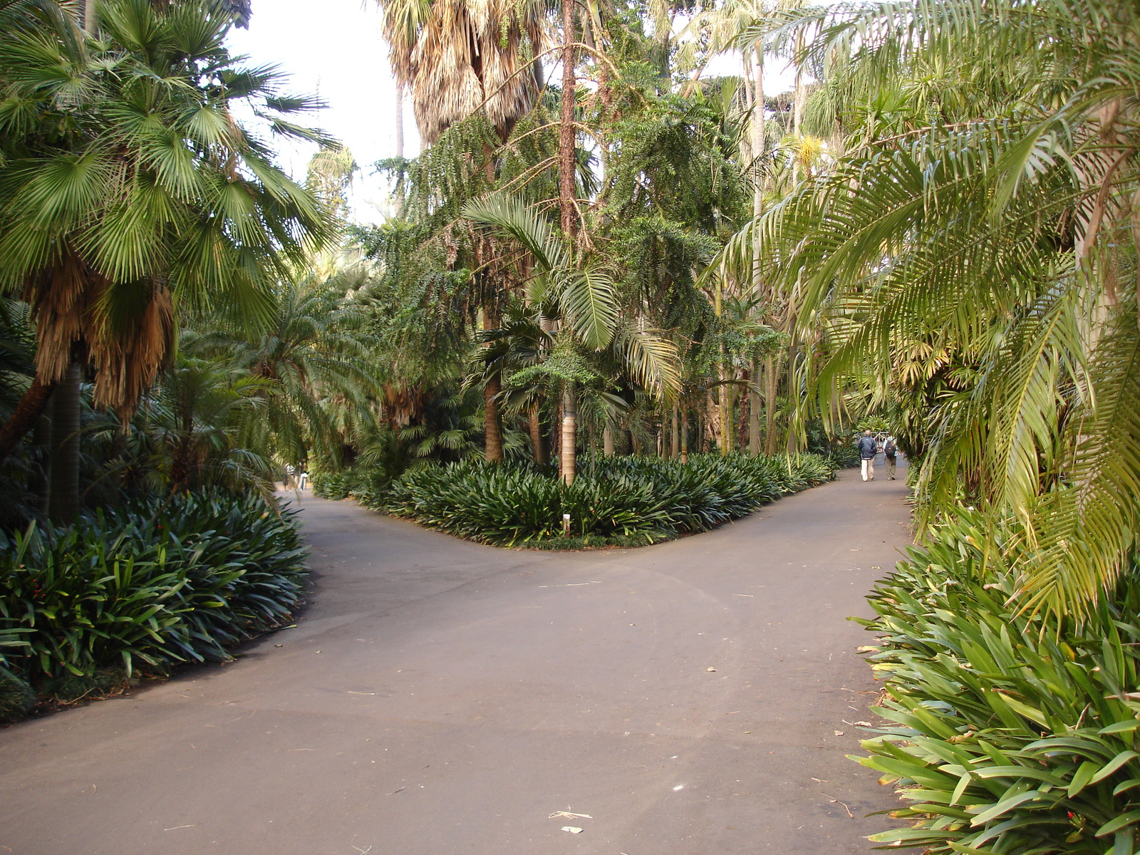 Botanic Garden (9)