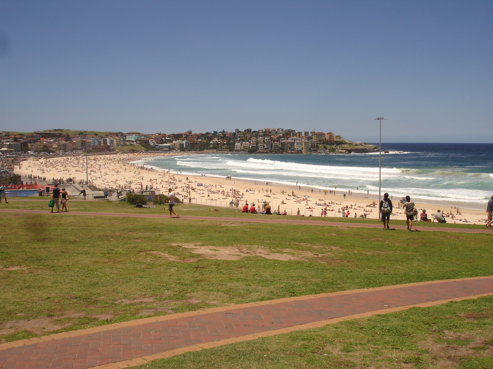 Bondi Beach