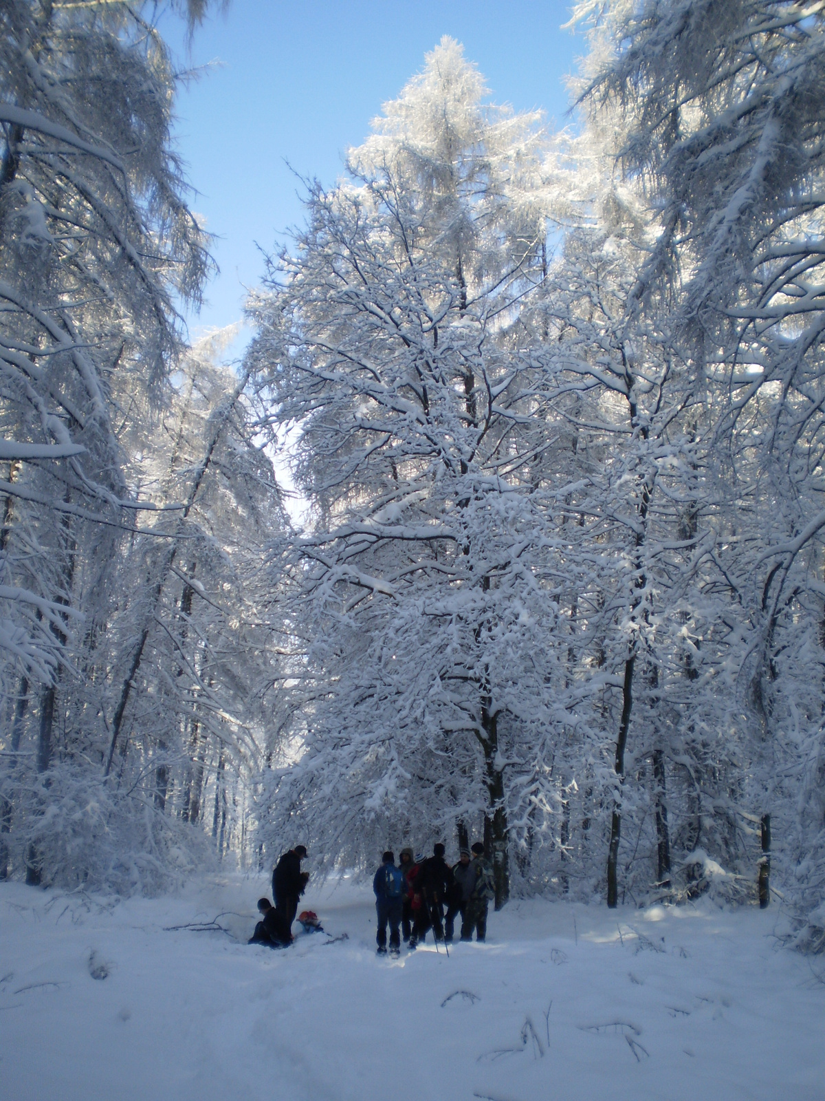 201011204zörög tető