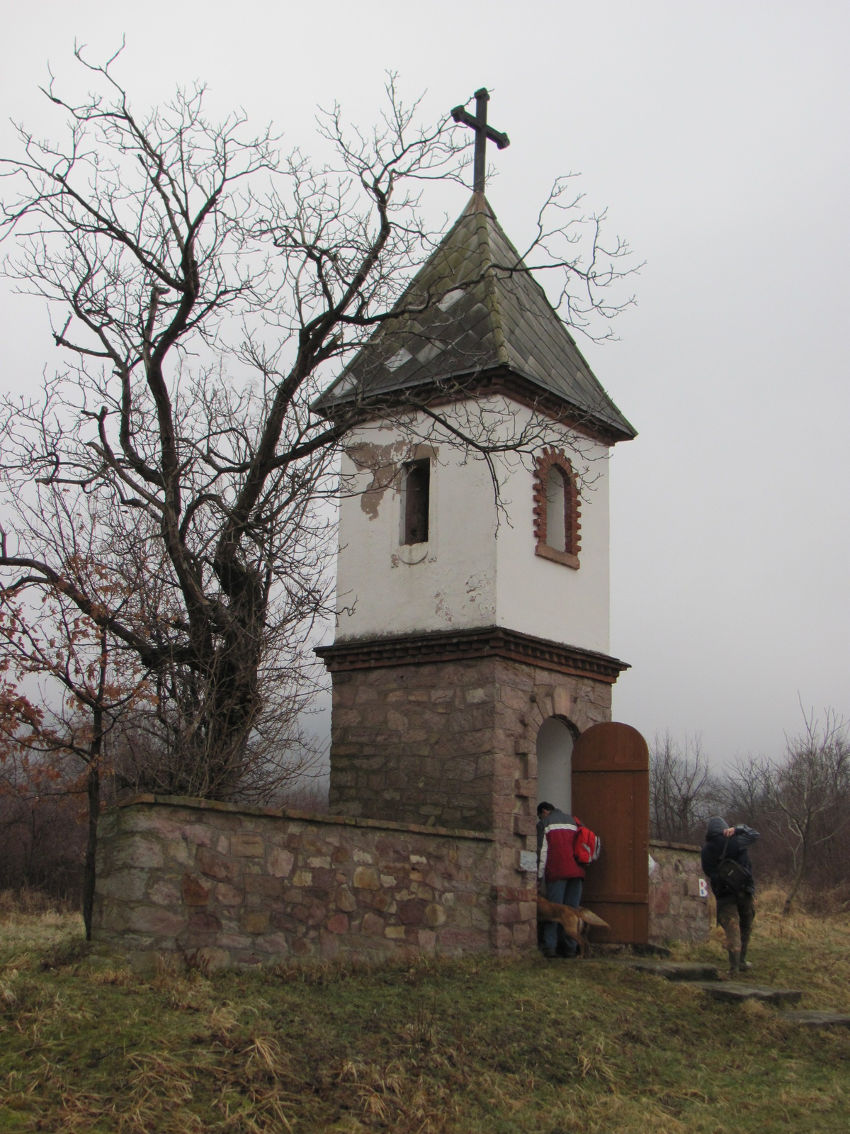 2011.02.19.petőcz pusztaPITE 30 teljesítménytúra 024