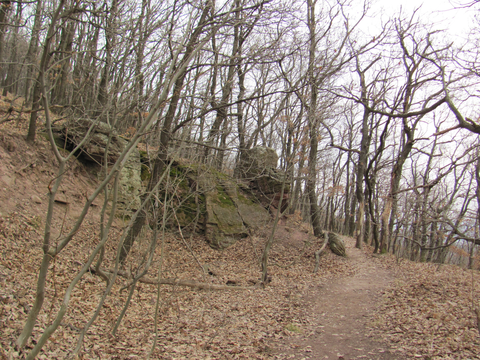 2011.03.13.Kővágószőlős-Pécs 021