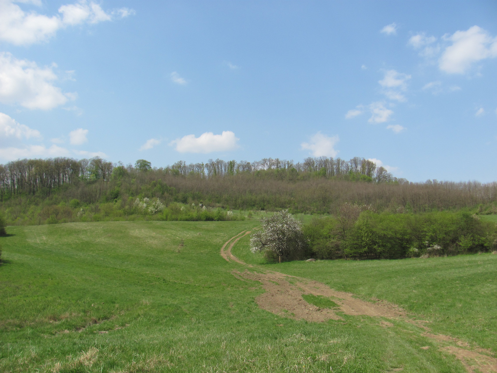 2011.04.17.Magyaregregy-Komló 161