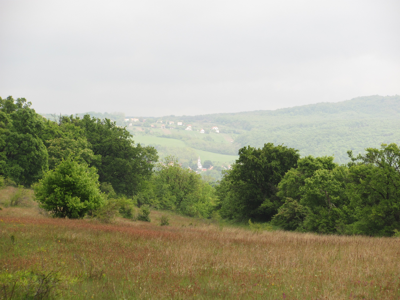 2011.05.08.Óbudavár teljesítménytúra 056