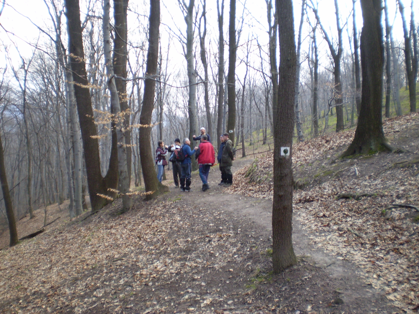 20090315Szuadó40 Bejárás