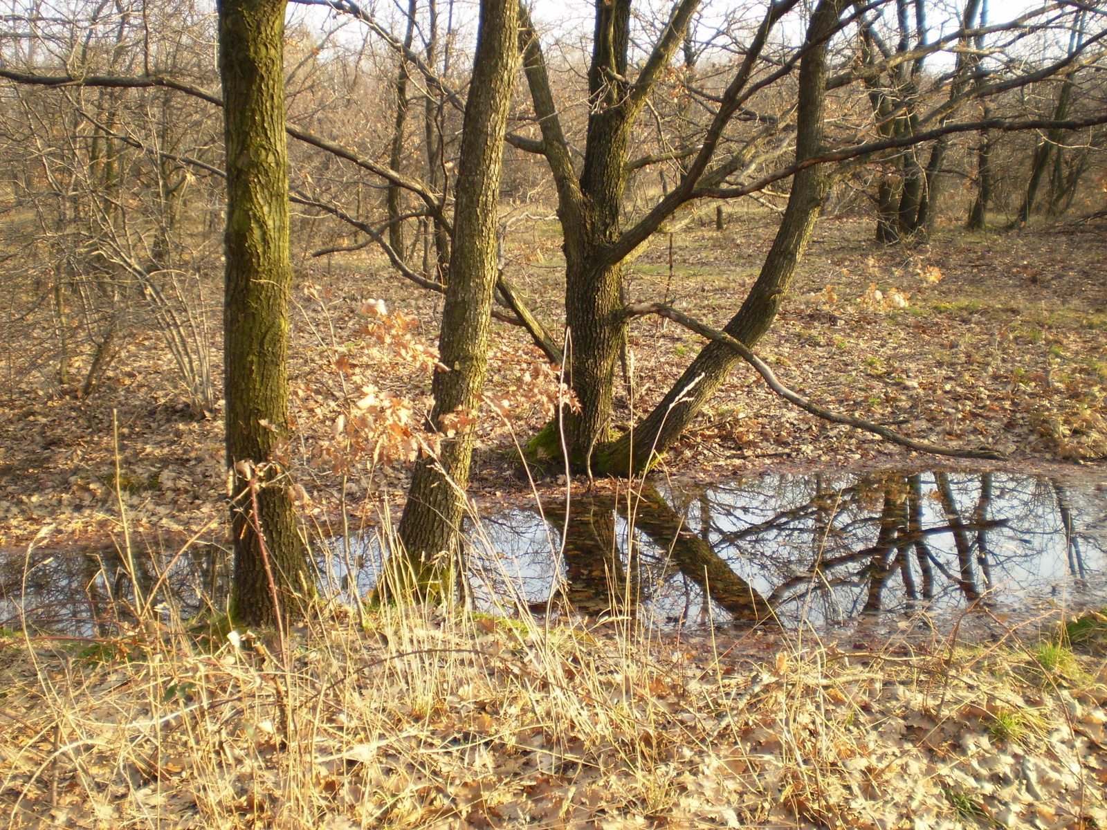 20090315Szuadó40 Bejárás