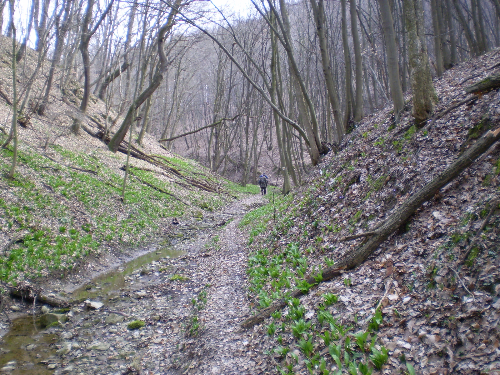 Nagy Kő oldal