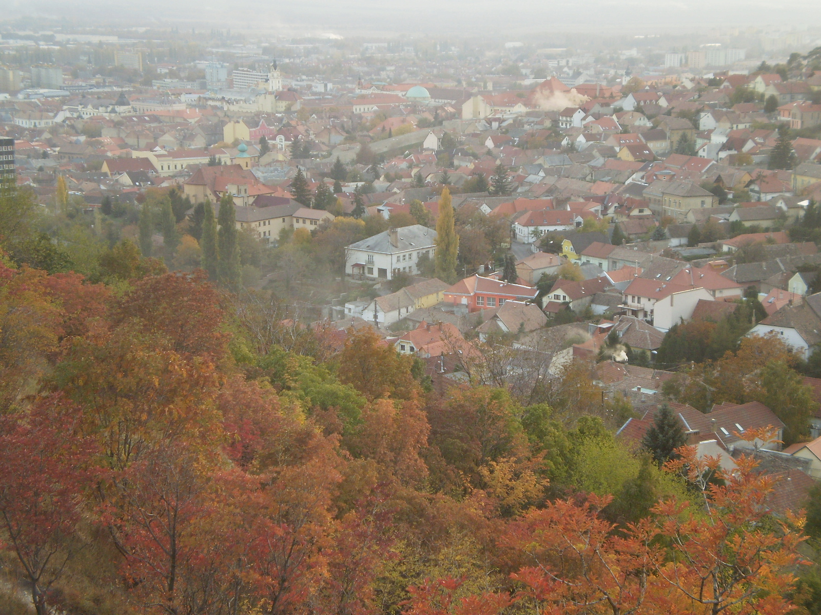 20091031 Pécsi séta 040