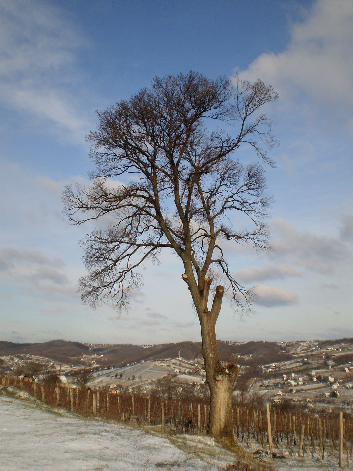 20100103FBTE kirándulás szekszárd 008