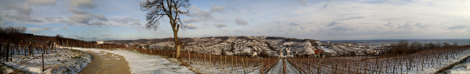 20100103 Szekszárd panoráma2