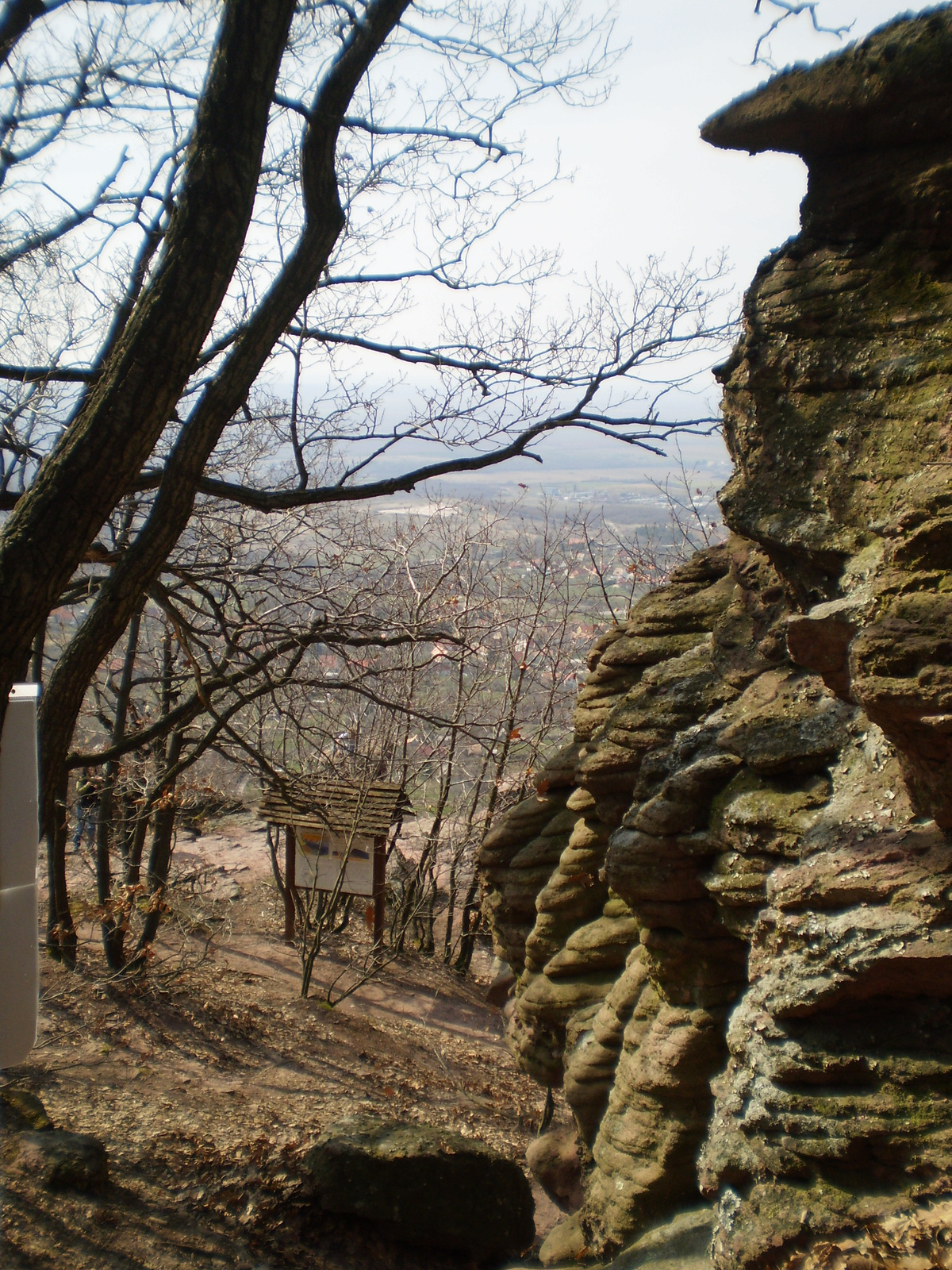 20100320 Babás szerkövek