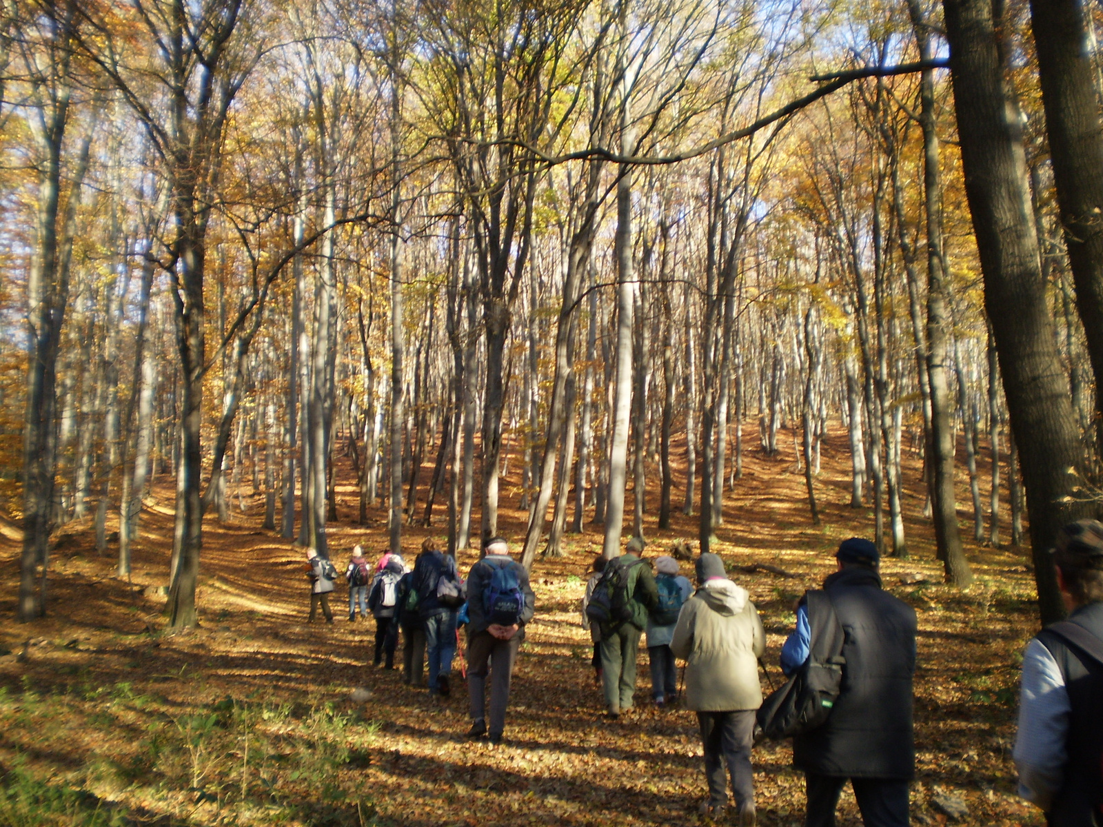 20101030Zobák-Pécsvárad 036