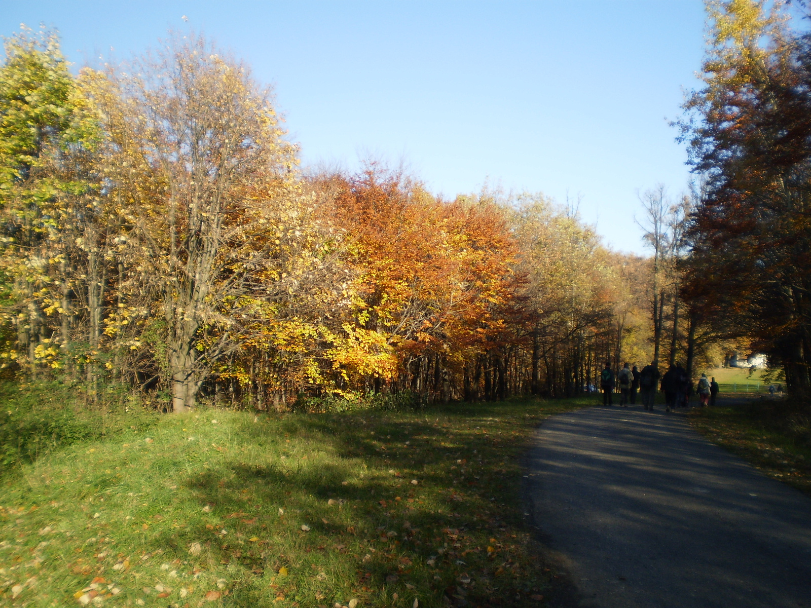 20101030Zobák-Pécsvárad 071