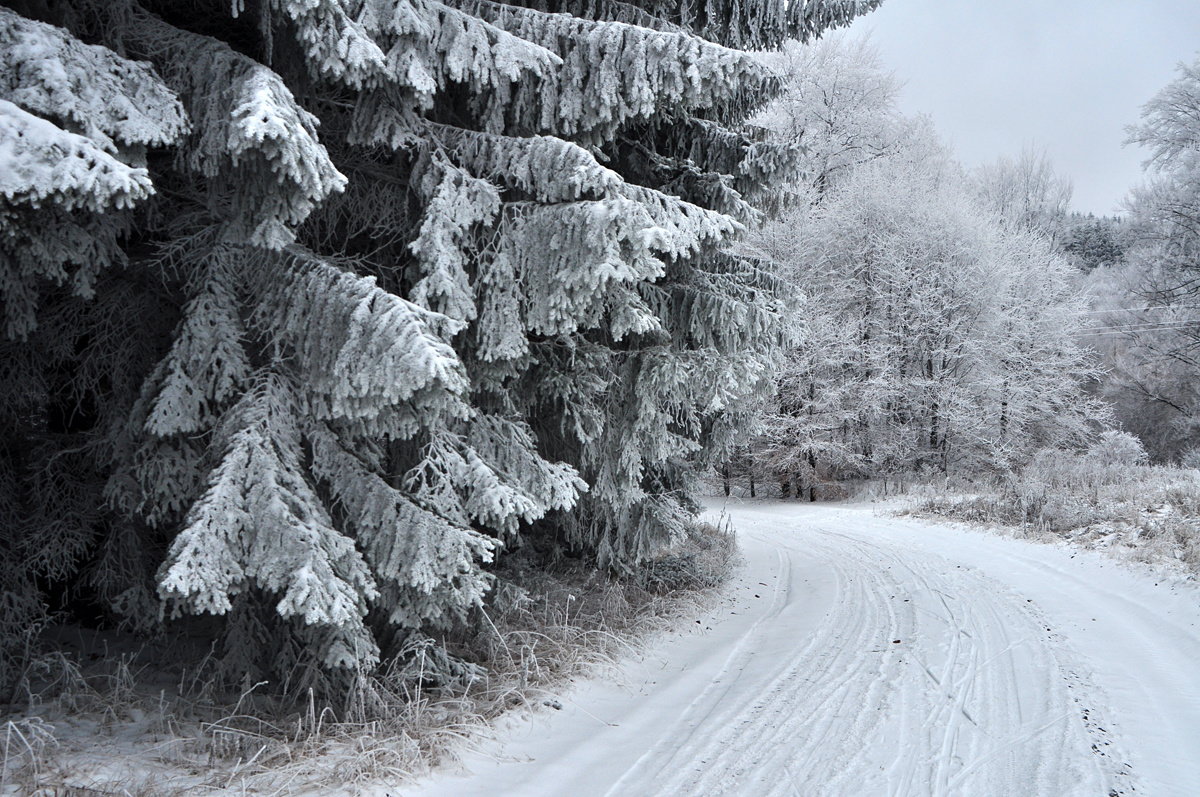 Bükk Mountains (Hungary) - Frozen world