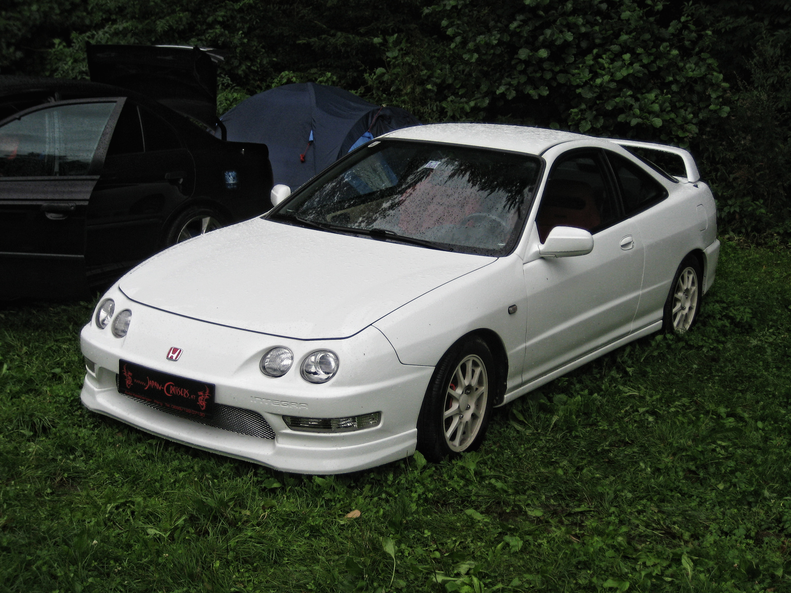 integra