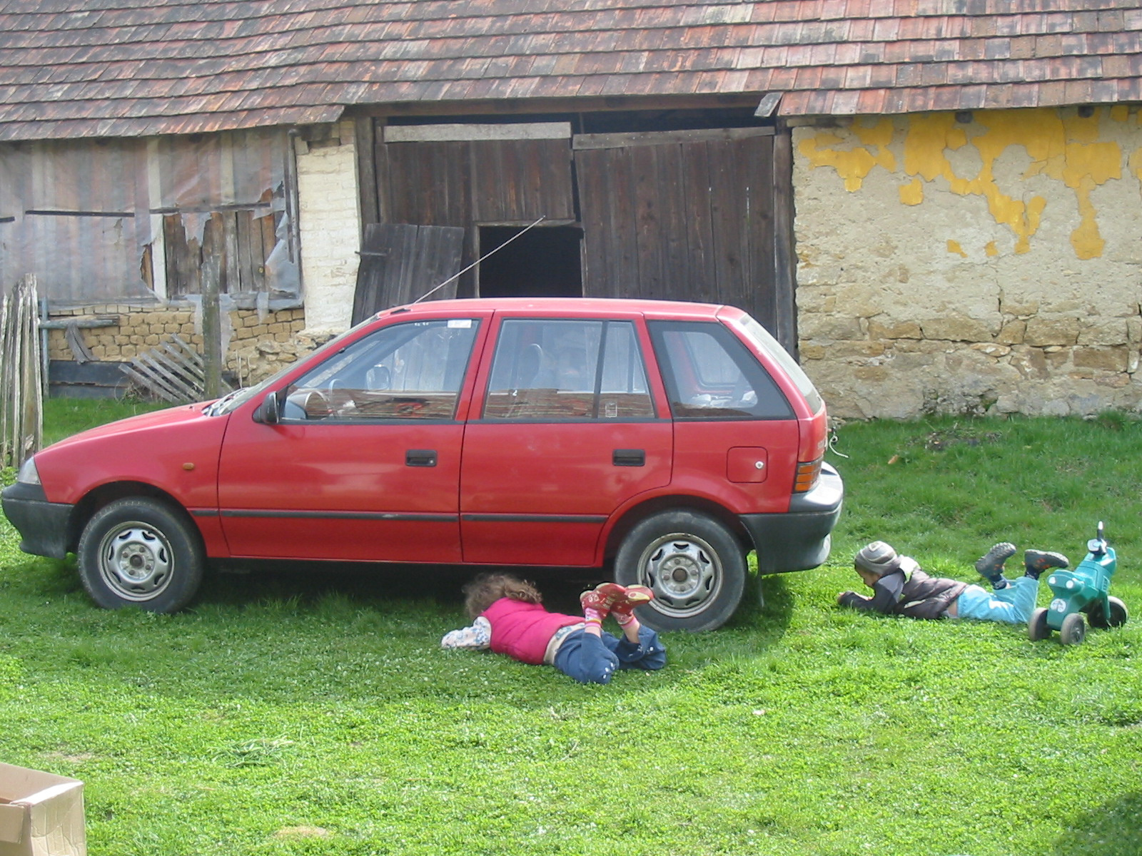 nyuszi ül a fűben...