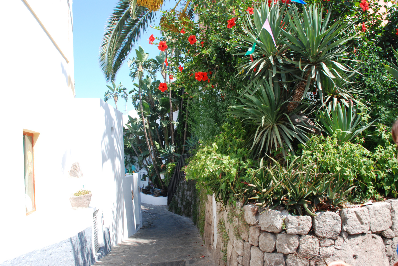 Panarea kis utcái