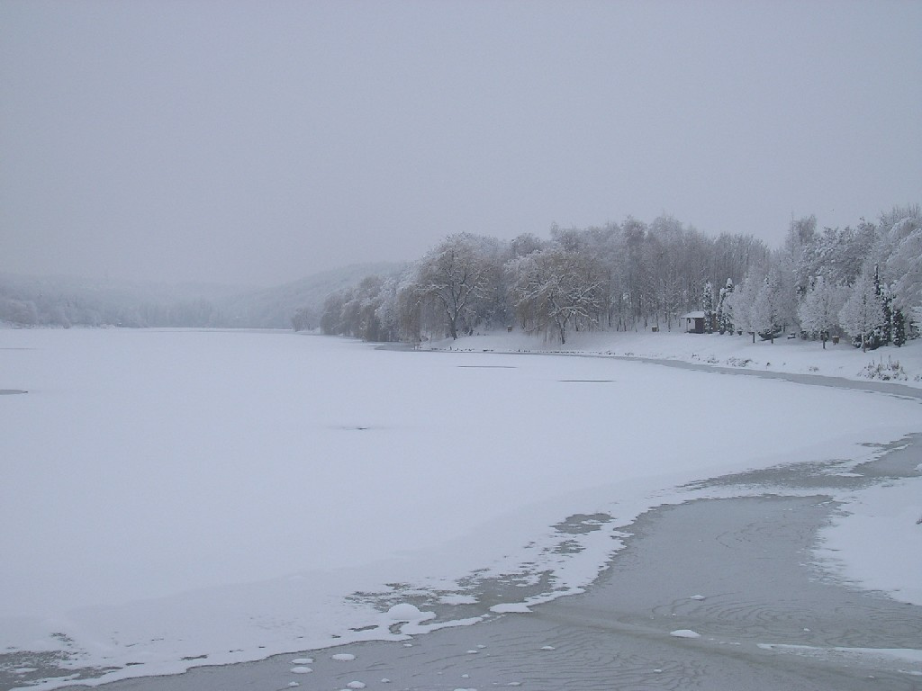 Malomvölgyi tó 026