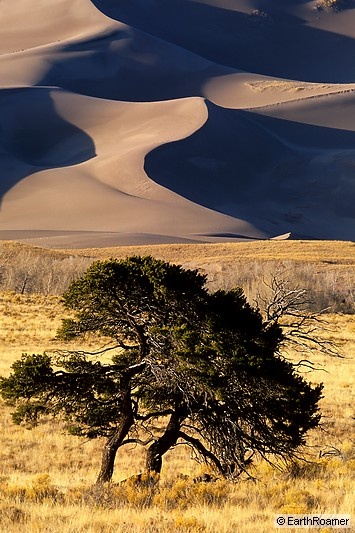 ER sand dunes12x18 std