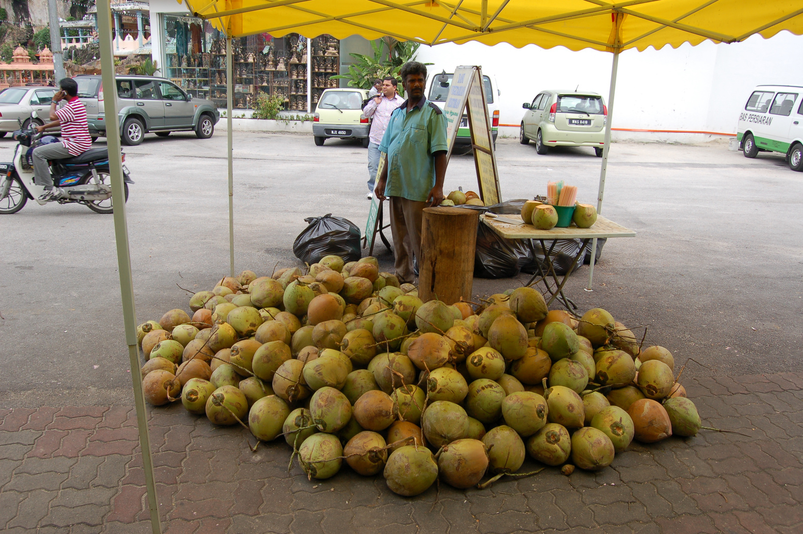 Coconut s guard