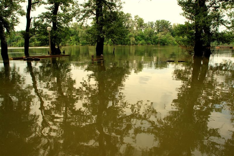 2010-árvíz