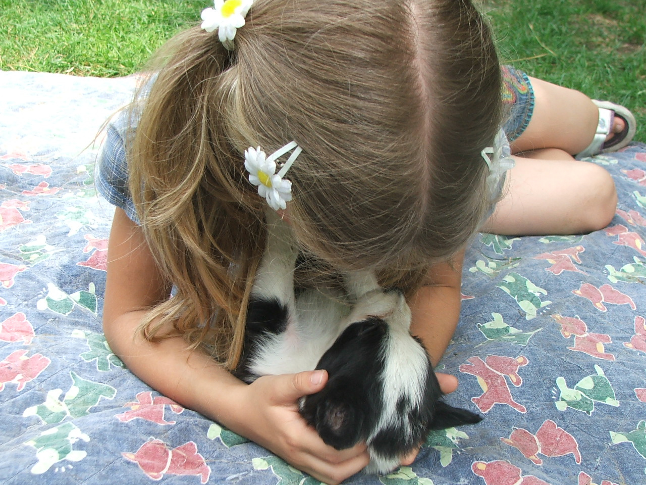 2011 .Lajosmizse-Forestry Farm 055