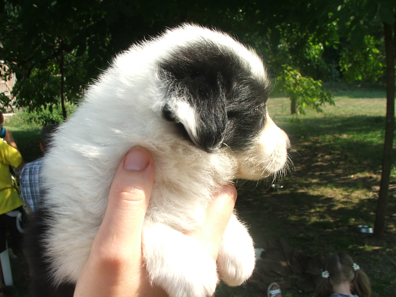 2011 .Lajosmizse-Forestry Farm 083