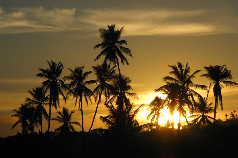 Praia do Forte