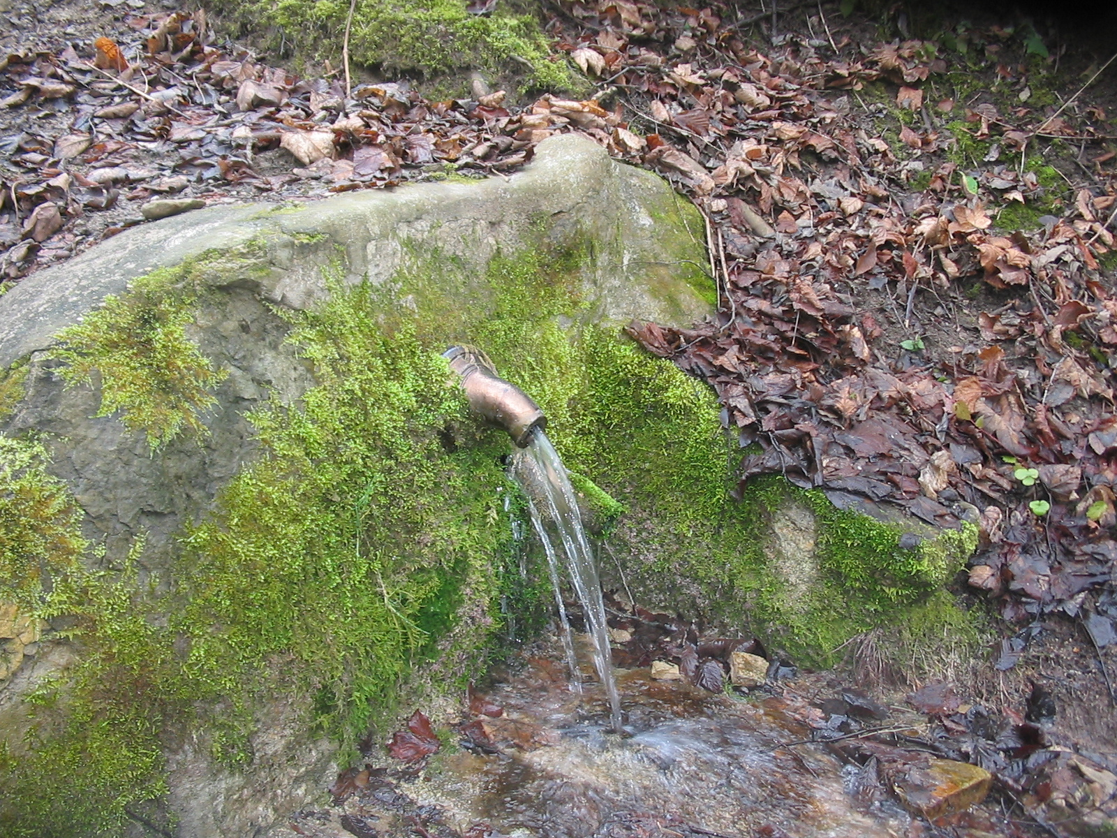 Csúszos /Kalte Brunnen Forrás