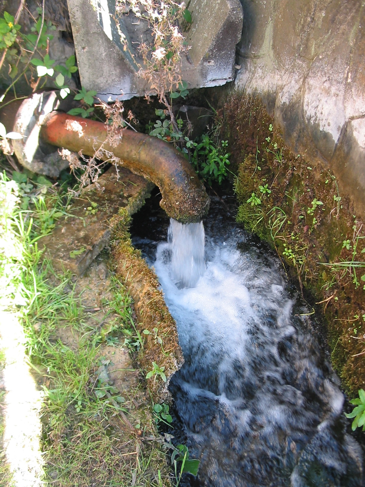 A Zsolnay gyárban fakadó források vize