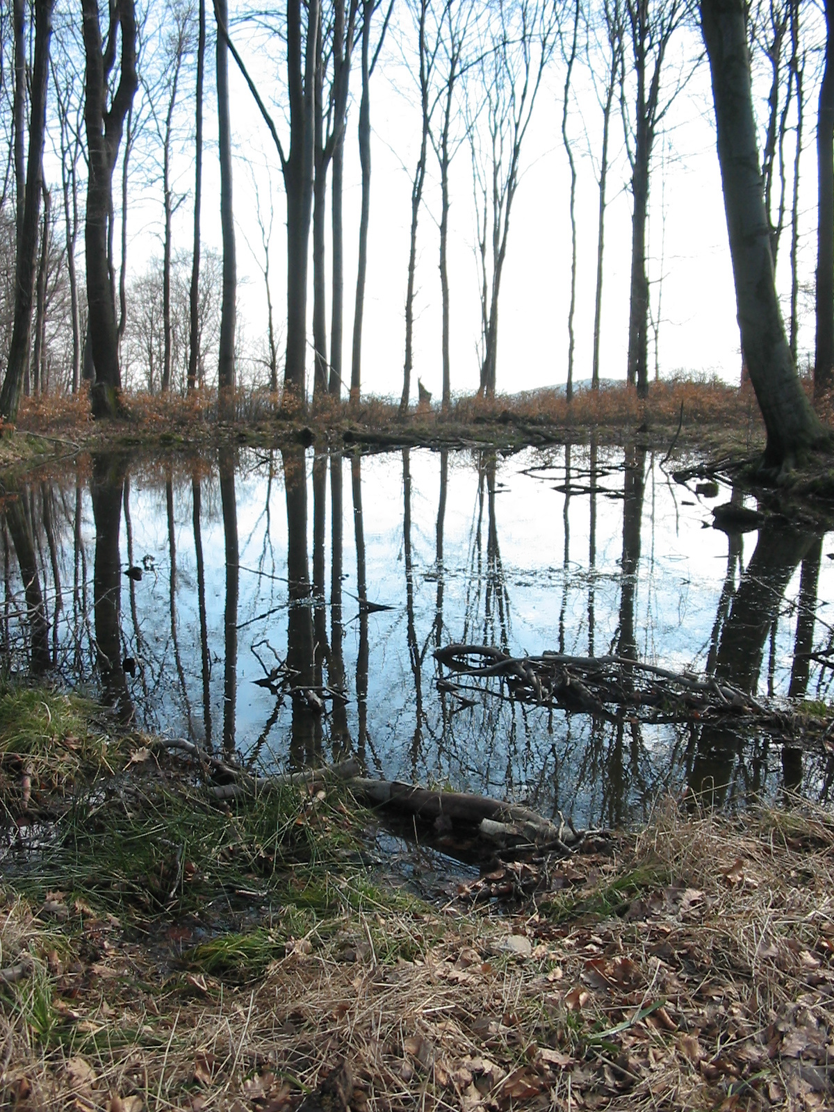 2010 03 03 Óbánya-Márévár 063