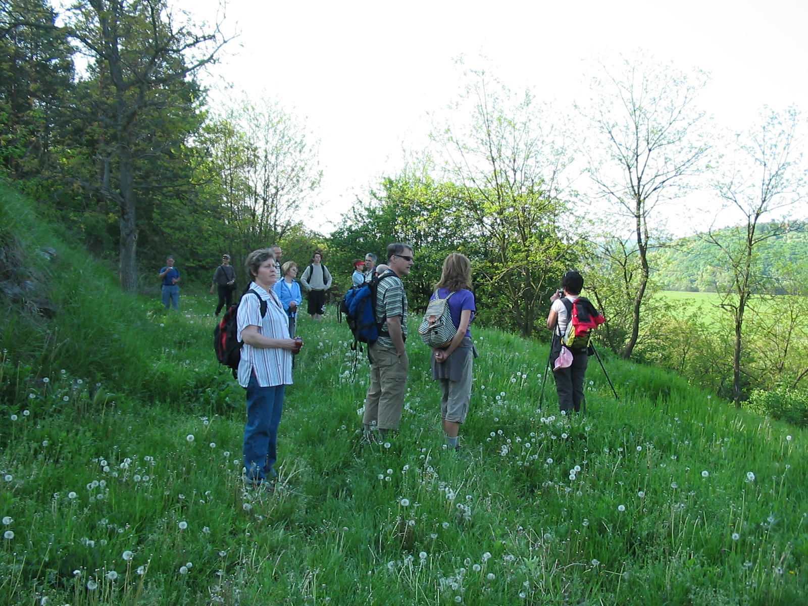 2010 05 01 Orfü-Gesztenyés 008