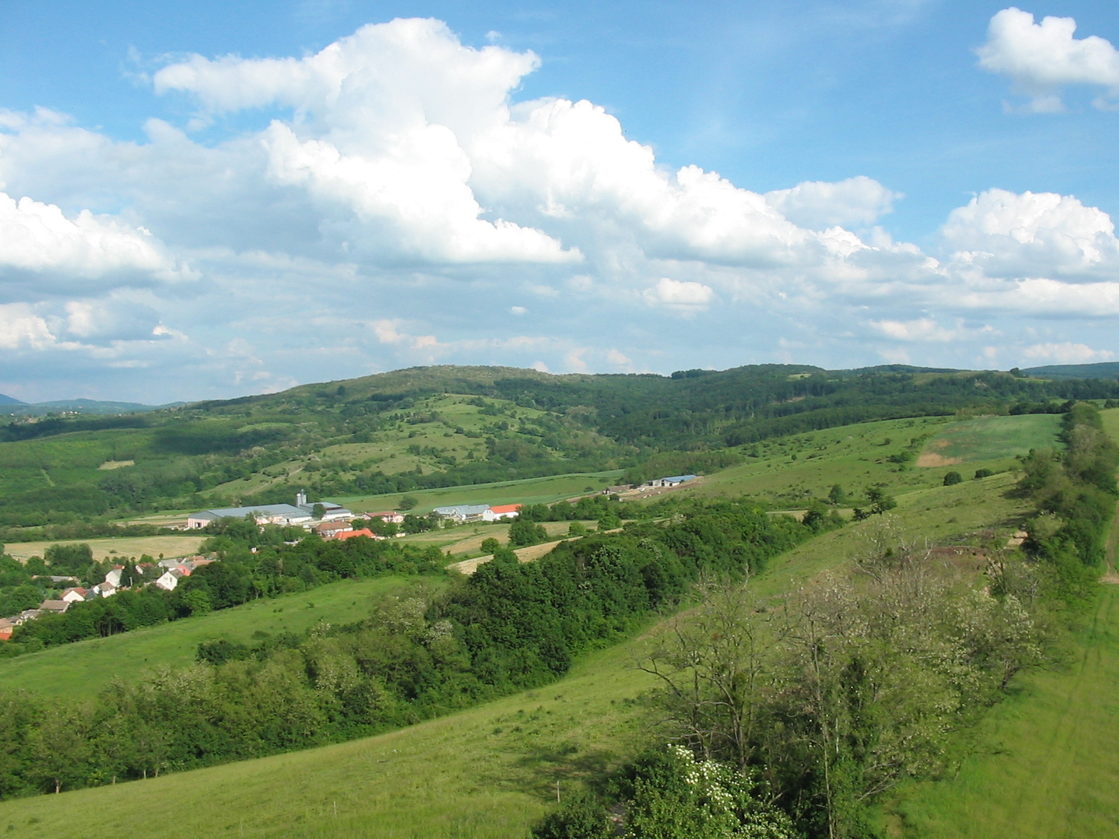 2010 05 28 kaposvár 067