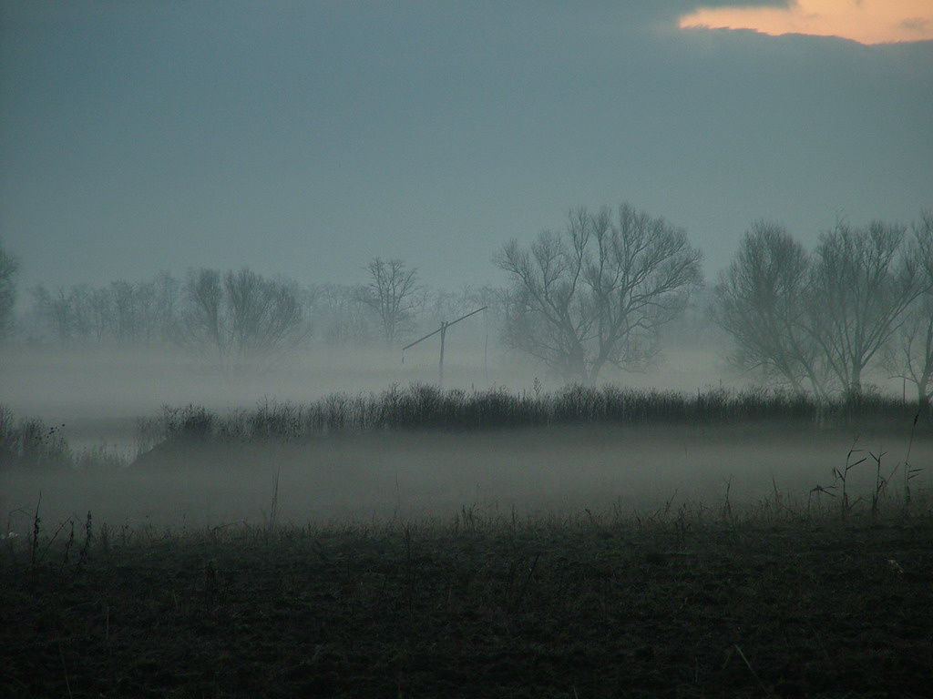 Decemberi köd