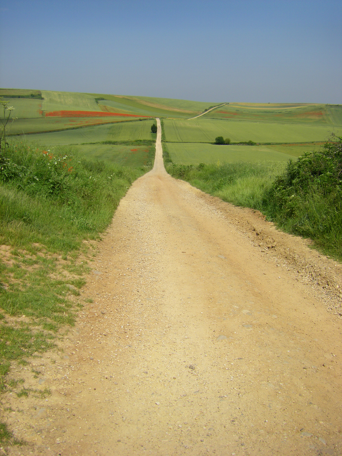 pipacsos camino