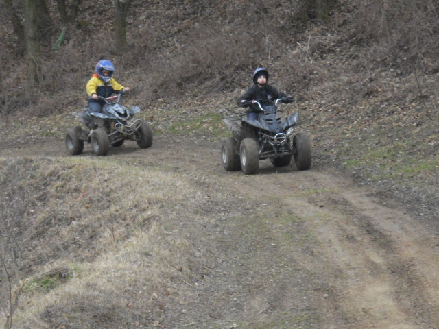 quad 2010.03. 493