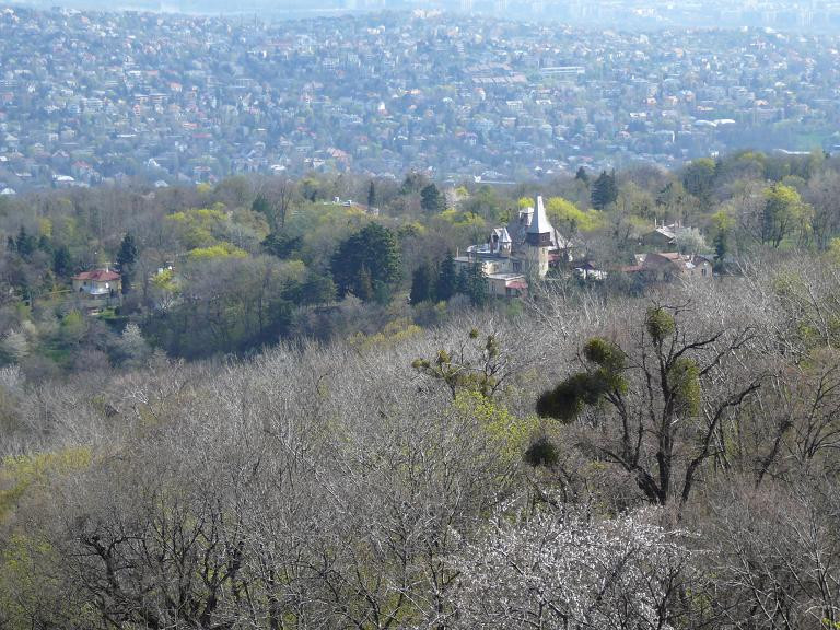 Normafa, Jánoshegy 2007.04.09 013