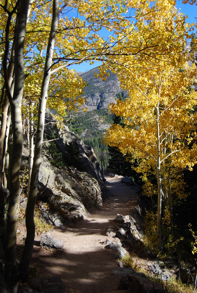 US 2010 Day16  086 Autumn Colors, Rocky Mountains NP, CO