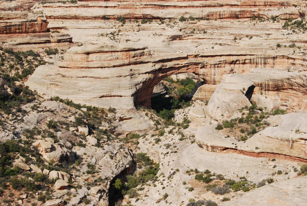 US 2010 Day21  005 Sipapu Bridge, Natural Bridges NM, UT