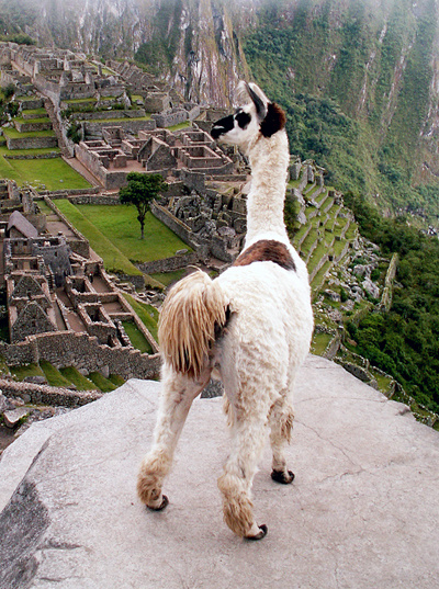 Machu Pichu - Peru - 003a - (wikipedia.org)