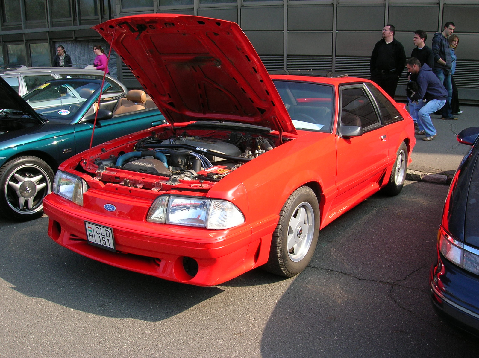 ford mustang